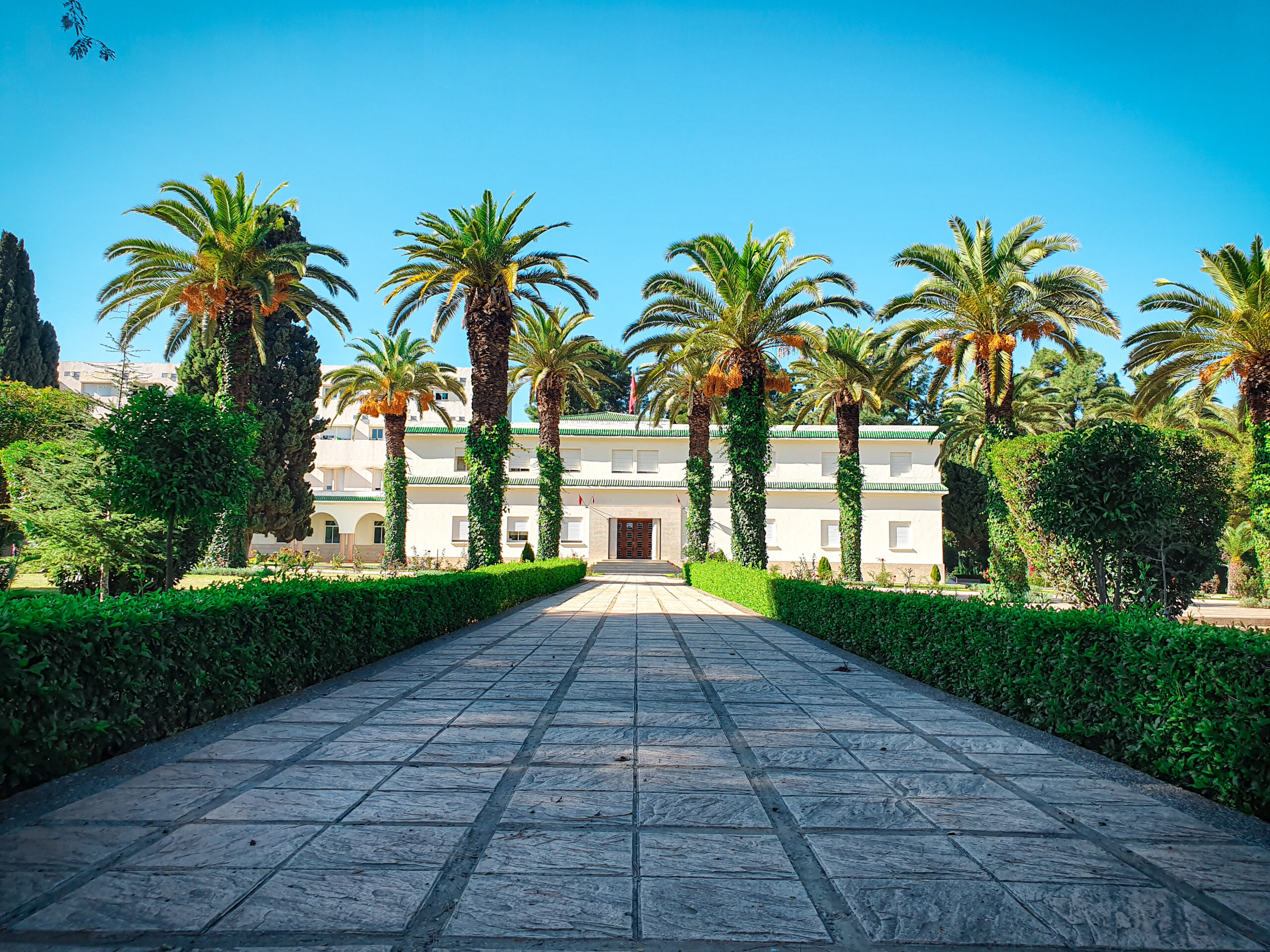 Modalités d’inscription des étudiants admis en 1ère année du cycle ingénieur de l’Ecole Nationale d’Agriculture de Meknès Année académique 2025-2026